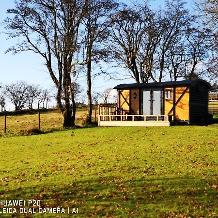 Pen-Rhos Luxury Glamping "Cuckoo'S Nest" Villa Llandrindod Wells Bagian luar foto