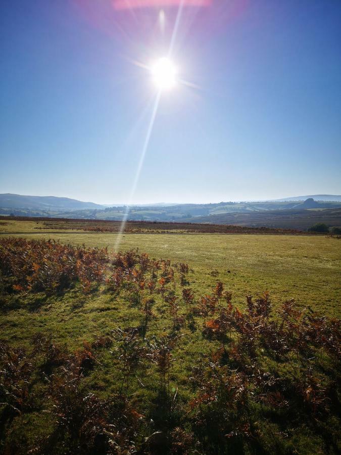Pen-Rhos Luxury Glamping "Cuckoo'S Nest" Villa Llandrindod Wells Bagian luar foto