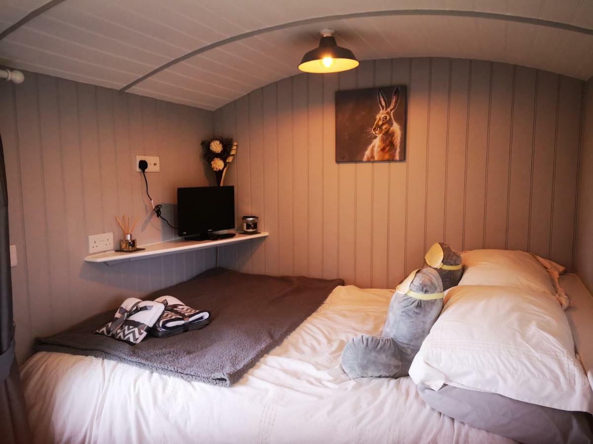 Pen-Rhos Luxury Glamping "Cuckoo'S Nest" Villa Llandrindod Wells Bagian luar foto