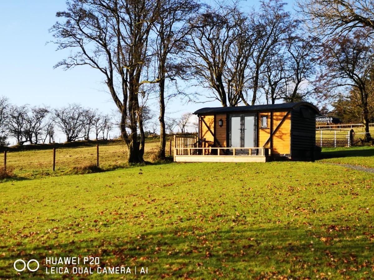 Pen-Rhos Luxury Glamping "Cuckoo'S Nest" Villa Llandrindod Wells Bagian luar foto